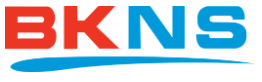 Логотип BKNS.vn