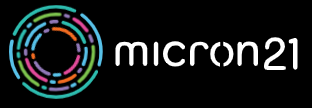 Логотип Micron21.com